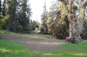 Enlarge photo 24