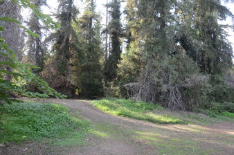 Enlarge photo 25