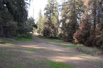 Enlarge photo 26