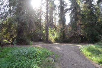 Enlarge photo 27