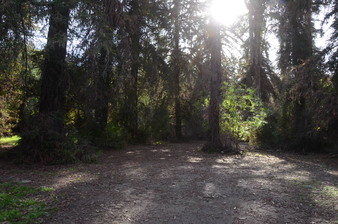 Enlarge photo 28