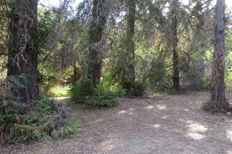 Enlarge photo 29