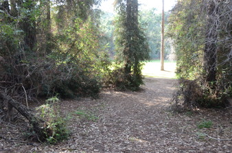 Enlarge photo 32
