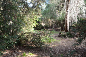 Enlarge photo 34