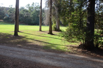 Enlarge photo 36