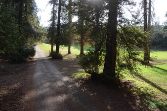 Enlarge photo 37