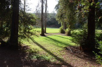 Enlarge photo 38