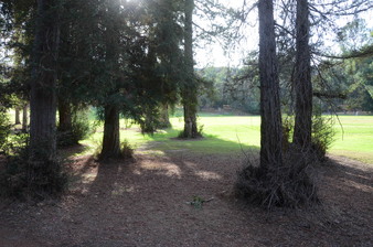Enlarge photo 42