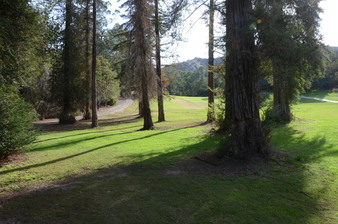 Enlarge photo 44