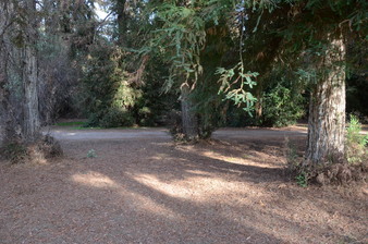 Enlarge photo 46