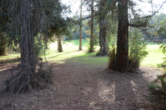 Enlarge photo 48
