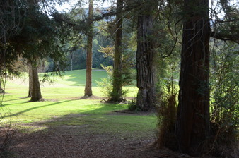 Enlarge photo 49