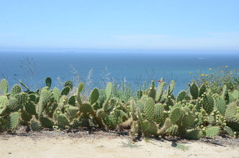 Portuguese Bend -beach -RPV