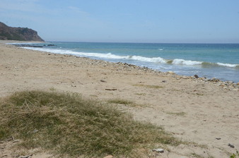 Enlarge photo 24