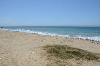Enlarge photo 25