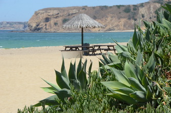 Enlarge photo 61