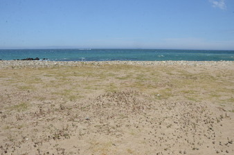 Enlarge photo 62