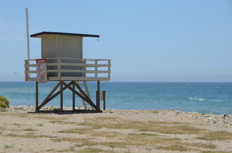 Enlarge photo 65