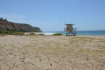 Enlarge photo 66