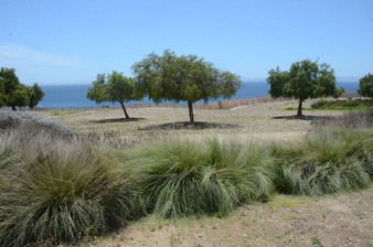 Enlarge photo 71