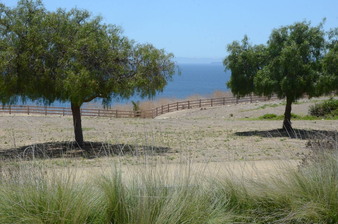 Enlarge photo 72