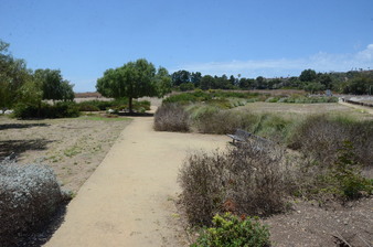 Enlarge photo 75