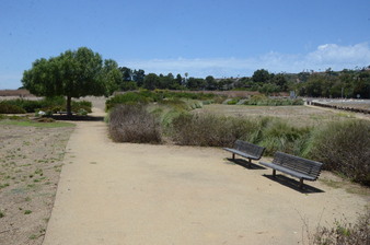 Enlarge photo 76