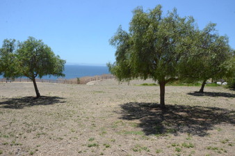Enlarge photo 77