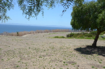 Enlarge photo 79