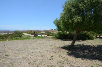 Enlarge photo 81