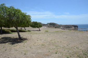 Enlarge photo 82