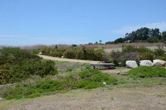 Enlarge photo 83