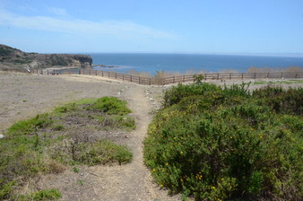 Enlarge photo 85
