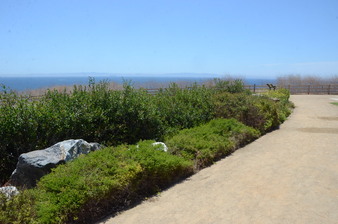 Enlarge photo 87