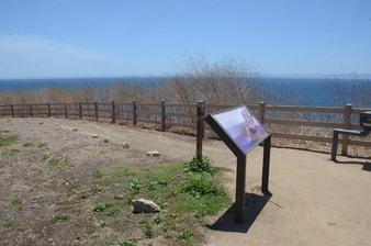 Enlarge photo 89
