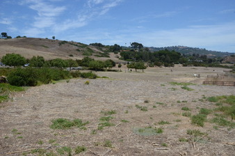 Enlarge photo 92