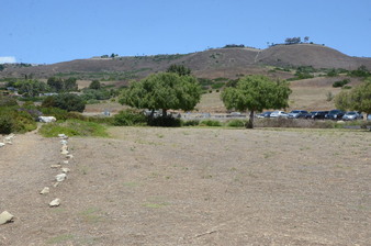 Enlarge photo 93
