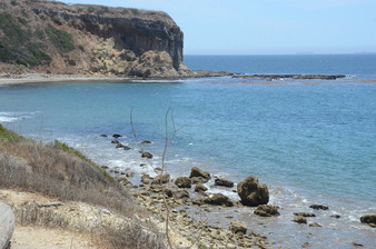 Enlarge photo 106