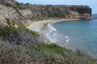 Enlarge photo 107