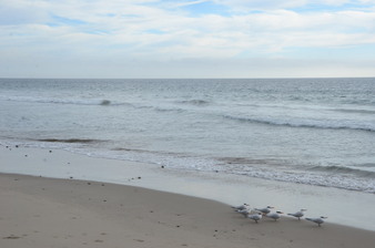 Enlarge photo 17
