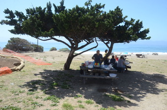 Enlarge photo 11