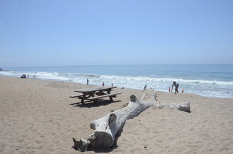 Enlarge photo 16
