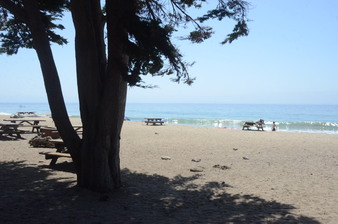 Enlarge photo 31