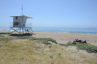 Enlarge photo 45