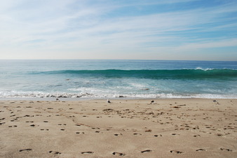 Enlarge photo 1
