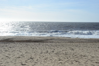 Enlarge photo 37