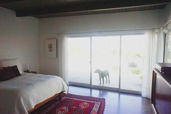 Enlarge photo 50