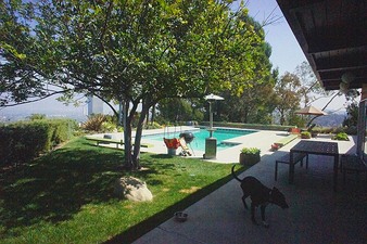 Enlarge photo 54