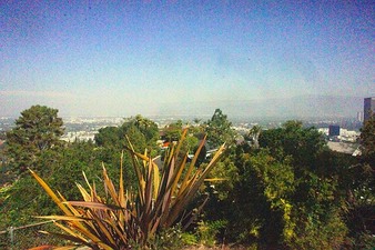 Enlarge photo 66