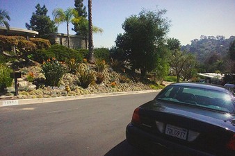 Enlarge photo 77